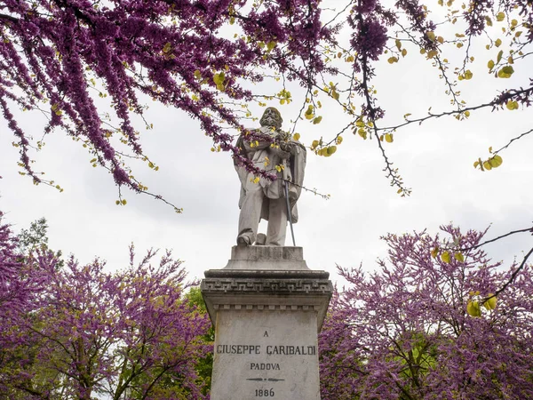 Padova Giuseppe Garibaldi雕像纪念碑 — 图库照片