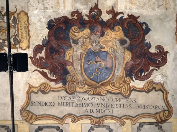 Histórica Universidade Padova Mais 800 Anos — Fotografia de Stock