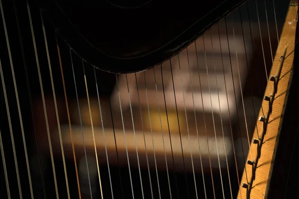 Harp Strings Detail Close Isolated Black Background — Zdjęcie stockowe