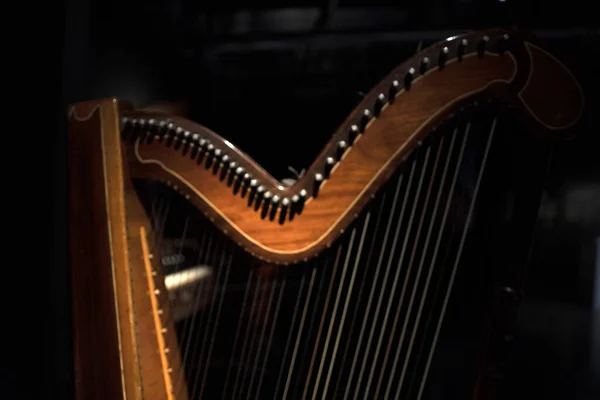 Harp Strings Detail Close Isolated Black Background — Stock fotografie