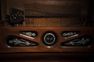 Çeviren spinet organ detaylarıyla ilgilen