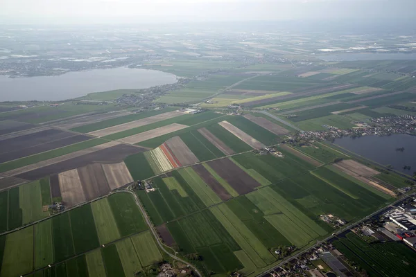 Tulip Fields Holland Aerial View Airplane While Landing Amsterdam — Stockfoto