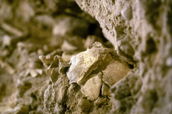 Human Skull Bones Crypt — стоковое фото
