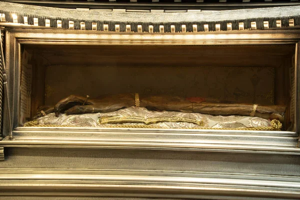 Heilige Vincent Heilige Relikwie Arm Valencia — Stockfoto