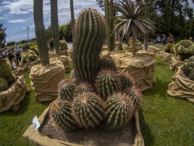 GENOA, İtalya - 7 Mayıs 2022 - Euroflora uluslararası çiçek sergisi Nervi Park 'ta