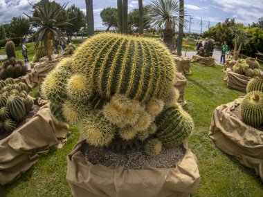 GENOA, İtalya - 7 Mayıs 2022 - Euroflora uluslararası çiçek sergisi Nervi Park 'ta