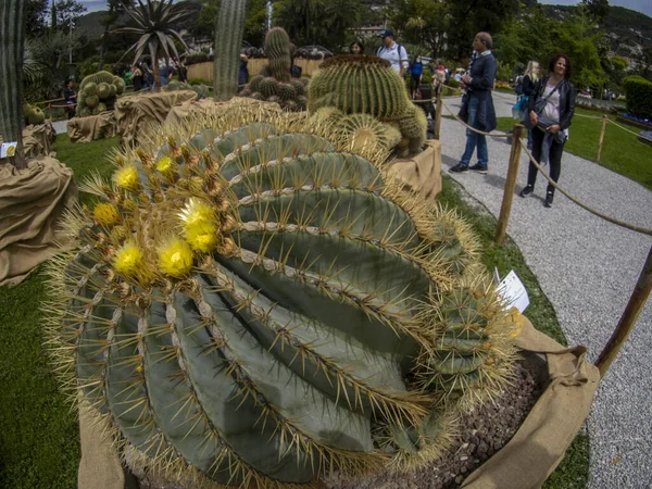 GENOA, İtalya - 7 Mayıs 2022 - Euroflora uluslararası çiçek sergisi Nervi Park 'ta
