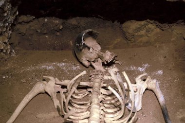 Human skeleton sjull and bones in a tomb grave