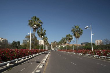 Valencia rengarenk çiçekler köprü manzarası