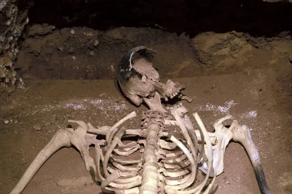 Human Skeleton Sjull Bones Tomb Grave — Foto Stock