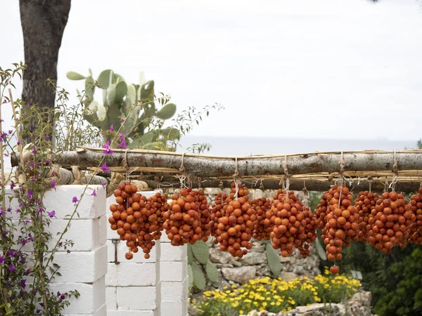 Italian Tomato Hanging Sun Puglia — Stock Photo, Image
