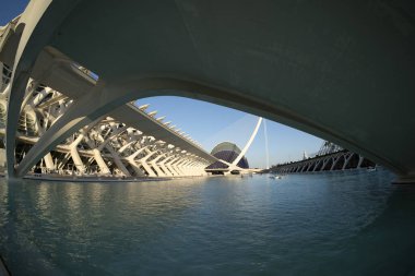 Valencia İspanya Ciutat de les Arts i les Ciencies Sanat ve Bilim Şehri Günbatımı