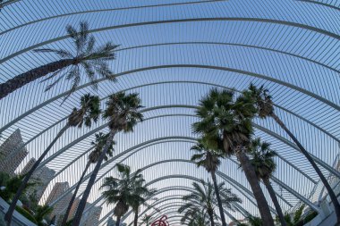 Valencia İspanya Ciutat de les Arts i les Ciencies Sanat ve Bilim Şehri Günbatımı