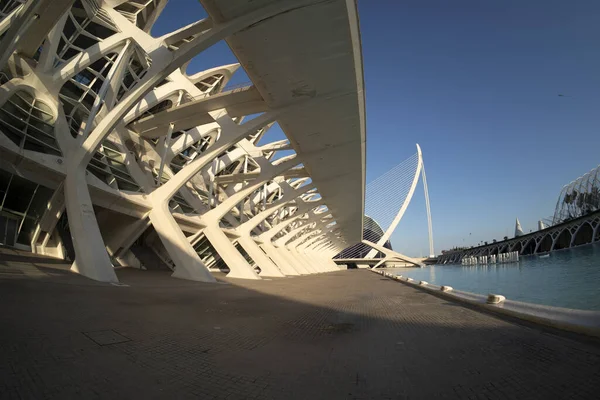 Valencia Spain Ciutat Les Arts Les Ciencies City Arts Sciences — стоковое фото