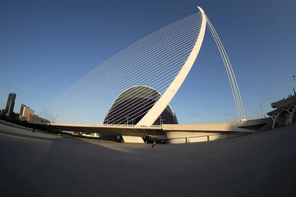 Valencia Spain Ciutat Les Arts Les Ciencies City Arts Sciences — стоковое фото