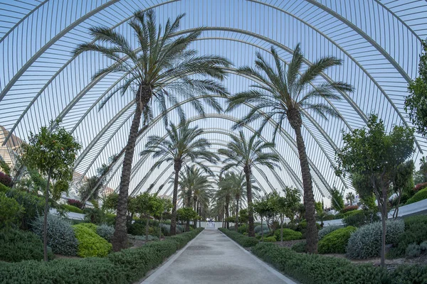 Valencia Automatische Übersetzung Spanien Ciutat Les Arts Les Ciencies Die — Stockfoto