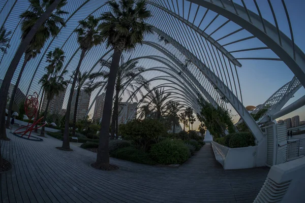 Valencia İspanya Ciutat de les Arts i les Ciencies Sanat ve Bilim Şehri Günbatımı