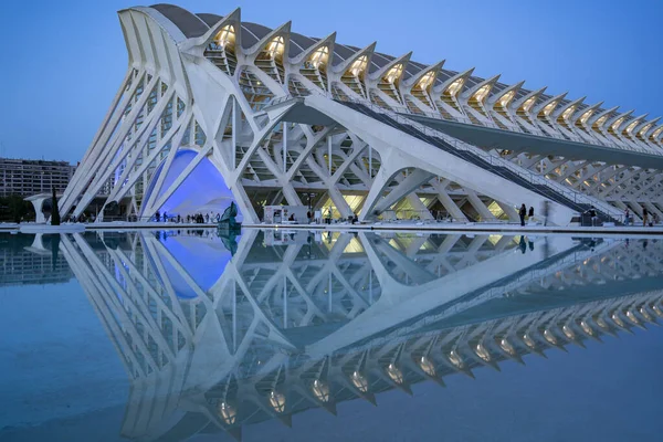 Valencia Spain Ciutat Les Arts Les Ciencies City Arts Sciences — стоковое фото