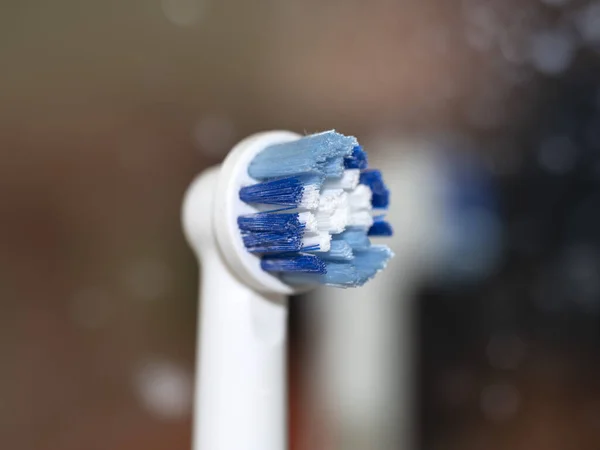 electric toothbrush rotating head macro