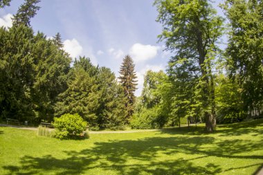Şehir parkı manzaralı Graz Avusturya bahçeleri