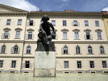 Rosarişemunnen Graz Avusturya tarihi binaları şehre bakıyor