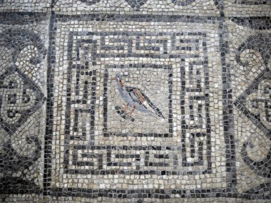 Avusturya 'daki antik Roma mozaiği ayrıntıları