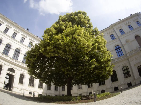 Grazer Karl Franzens Universität — Stockfoto