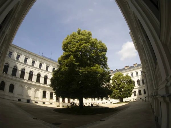 Graz Karl Franzens Üniversitesi Ana Binası — Stok fotoğraf