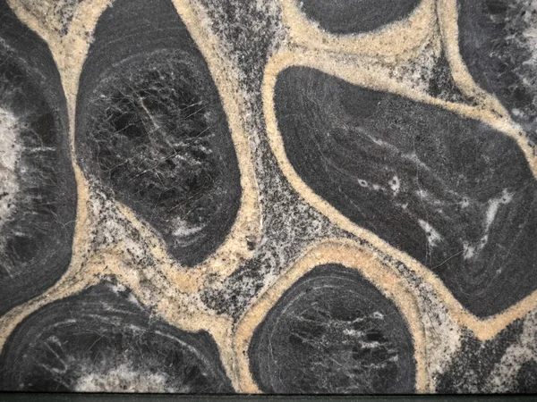 Orbikulär Diorit Granit Sten Detalj Närbild — Stockfoto