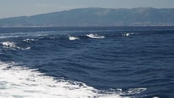 Familia Delfines Rayados Gran Vaina Saltando Mar Mediterráneo — Vídeo de stock