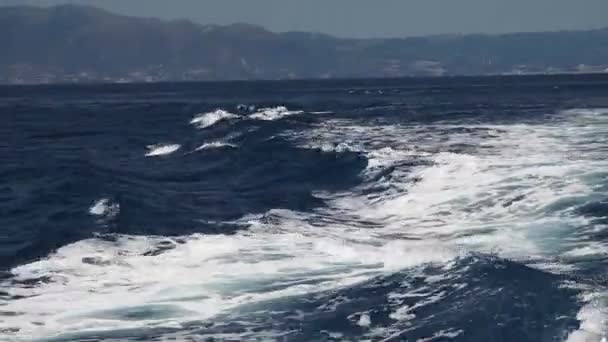 Familia Delfines Rayados Gran Vaina Saltando Mar Mediterráneo — Vídeos de Stock