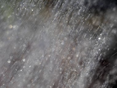 Ayrıntılı yağmur yağarken düşer makro