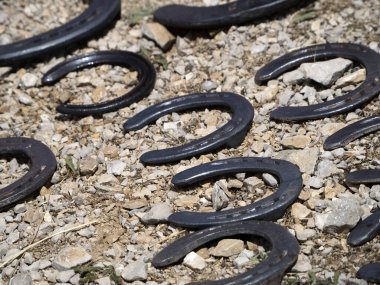 Demirci eşek nallıyor ve toynak temizliyor.