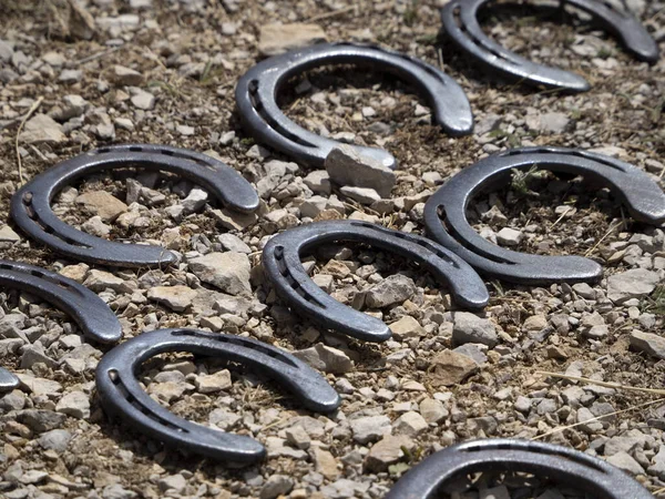 Blacksmith Shoeing Donkey Cleaning Hoof Detail — Stock Photo, Image