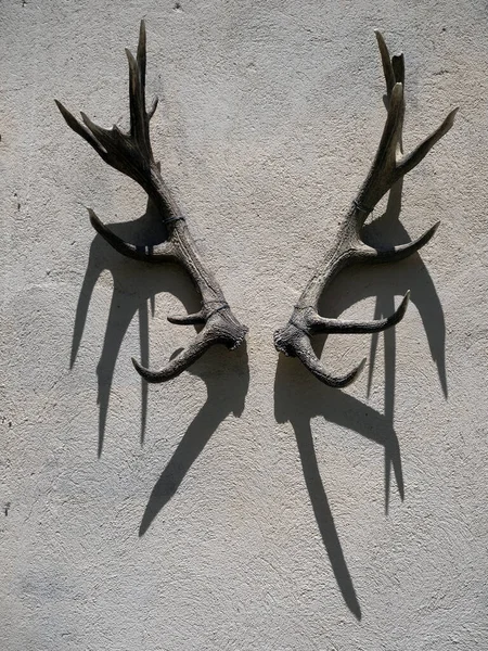 Deer Antlers Building Wall Detail — Stock Photo, Image