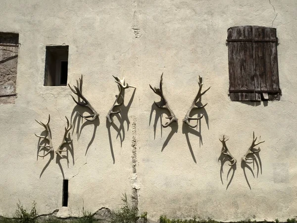 Deer Antlers Building Wall Detail — Stockfoto