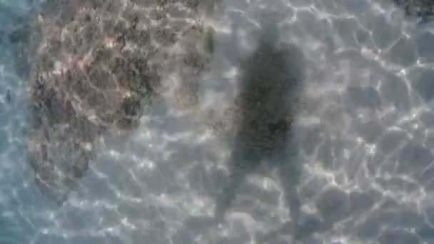 Nadando Mar Mediterráneo Sicily Agua Turquesa — Vídeos de Stock