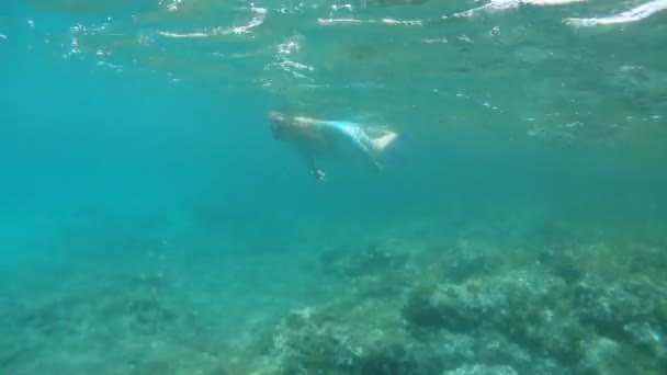 Zwemmen Middellandse Zee Sicily Turquoise Water — Stockvideo