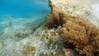 Akdeniz 'de yüzmek Sicilya usulü turkuaz su