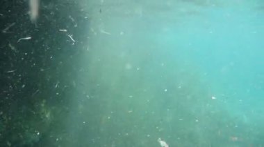 swimming in mediterranean sea sicily turquoise water