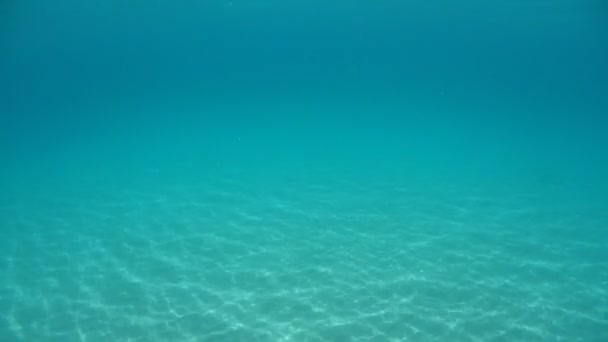 Nuotare Nel Mar Mediterraneo Sicilia Acqua Turchese — Video Stock