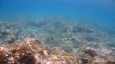swimming in mediterranean sea sicily turquoise water