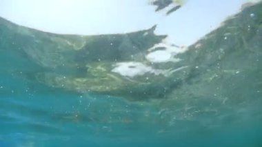 swimming in mediterranean sea sicily turquoise water