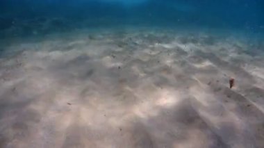 swimming in mediterranean sea sicily turquoise water