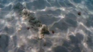 Akdeniz 'de yüzmek Sicilya usulü turkuaz su