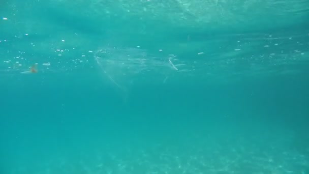 Zwemmen Middellandse Zee Sicily Turquoise Water — Stockvideo