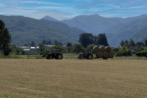 Tractor Harvesting Hay Summer Season — Stock Photo, Image