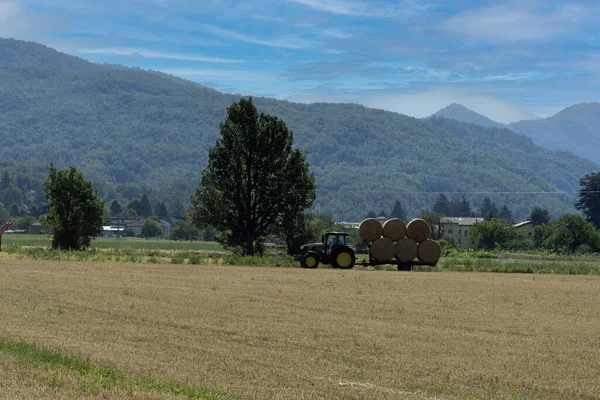 Tractor Harvesting Hay Summer Season — Stockfoto