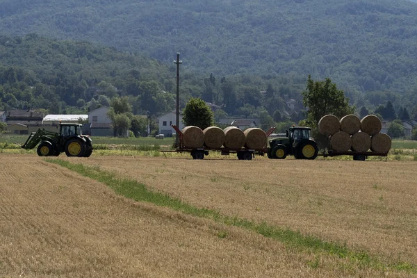 Tractor Harvesting Hay Summer Season — Stock Photo, Image