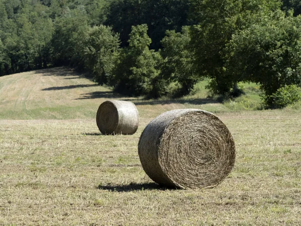 Harvested Hay Ball Field Summer Season — Stock Photo, Image